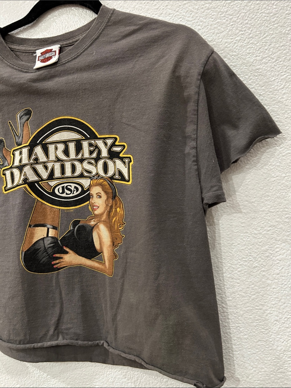 Harley-Davidson Graphic Crop Tee in Charcoal with Gold Accents - Picture 6 of 9
